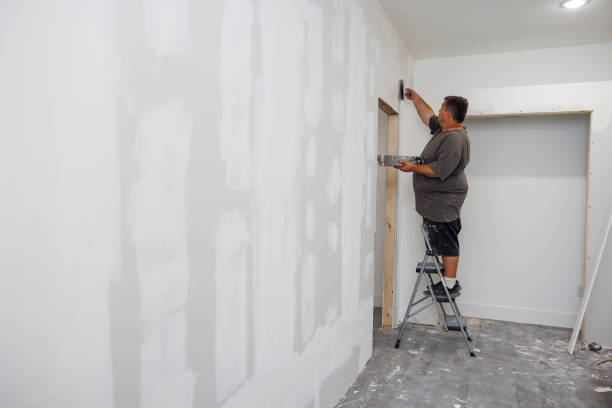 Best Black Mold Removal  in Risg Sun, IN